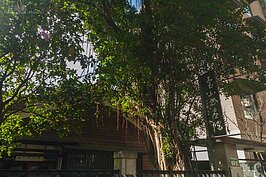 台北書畫院外觀。