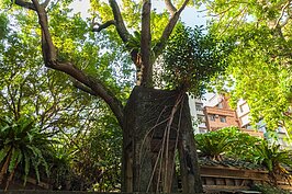 走過齊東街日式宿舍群，抬頭還可看到後期興建的方形水泥水塔，這是早期台北自來水歷史的見證物之一。