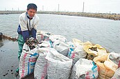 師法日本　雲林魚塭想改養電