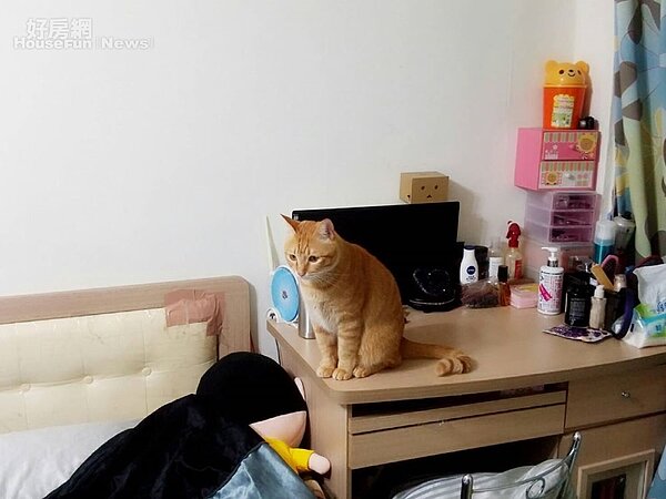 3.目前采蓉在台中南區復興路上租屋,空間為6坪的小套房。