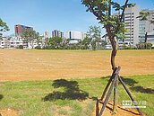 公墓遷葬打造都市之肺　增15公頃綠地