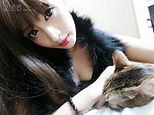 正妹采蓉租屋怪事多　與三貓同住溫馨小套房