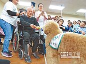 狗大夫萌翻基隆三軍醫院