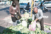 高麗菜太多　菜價崩…56歲農街頭過夜守著賣