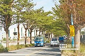 開路正沖古厝　民主路拓寬掀議