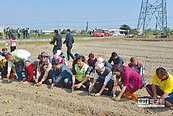 雲林有機農業　闢24公頃專區