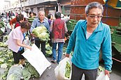 里民幫菜農　滿車高麗菜買光光