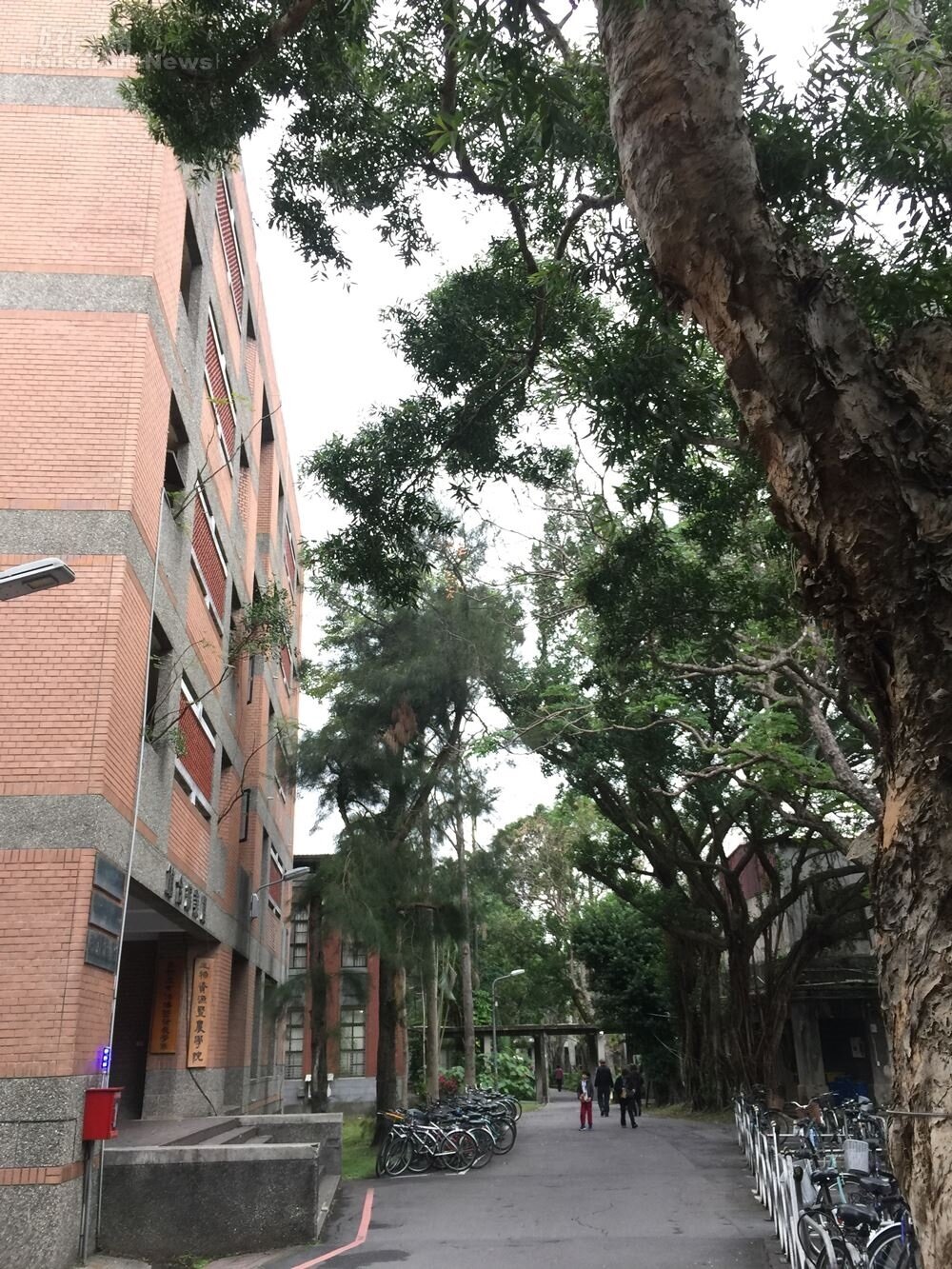 台灣大學20日凌晨發生駭人的潑酸兇殺案。(好房網news林美欣攝影)