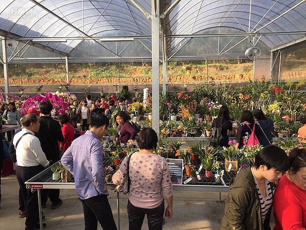 台開新埔智能園區春節吸引大批遊客入園。(台開集團提供)