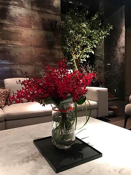 麻衣新家裝潢讓不少人直呼超氣派。(翻攝自佐藤麻衣臉書)