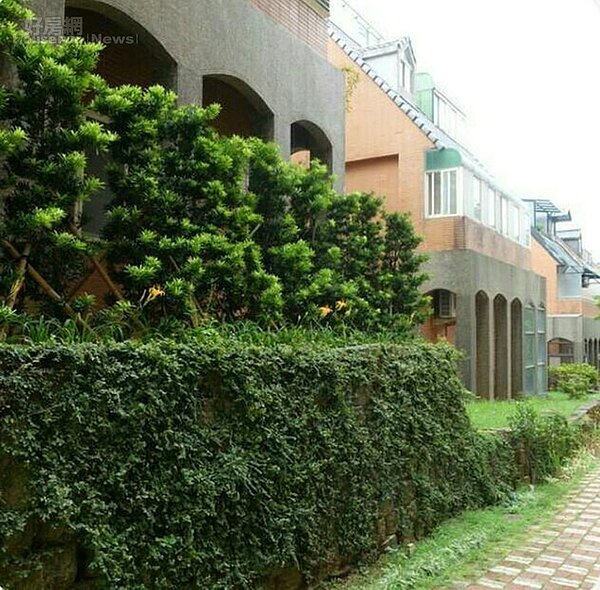 2. 楊樹森居住的拾翠山莊,為與自然共生的獨立莊園。