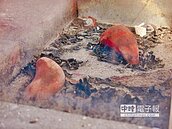 好神！武聖宮立筊撞不倒