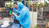 H5N6禽流感病毒　花蓮現蹤