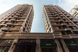 森林の物語的外觀