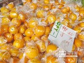 收購價1公斤50元　柳丁價格飆10年新高