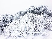 銀色世界！玉山積雪10.3公分