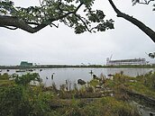 建案聳立　毀了貯木池天際線