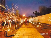 千櫻綻放　新竹公園超好拍