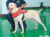 先揪安毒！緝毒犬恐進清泉崗