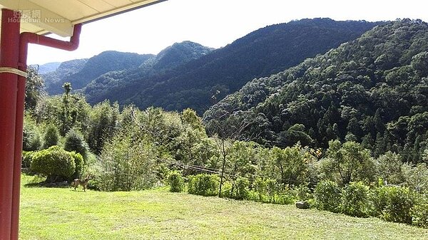 6. 溫進鴻與鄭麗月喜歡綠意環繞的山林環境。