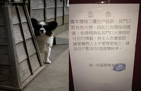 放任寵物隨意大小便,管委會竟公告「自行撲殺」。(翻攝自爆料公社/照片非當事狗)