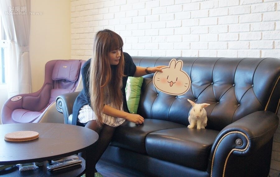 5.愛兔成癡的不死兔,家裡四處可見到兔子相關擺飾,當然也包括她養的兩隻兔子。