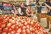 查菜價波動　4部會聯合「逛」賣場