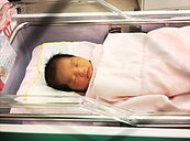 日本有續養子制度　家族企業更愛生女兒