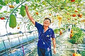 打造南瓜王國　林旺山獲模範農民