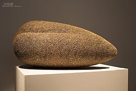 金牌得主－羅馬尼亞Péter Madaras的作品「種子-心」