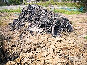 被偷埋垃圾　地主得花4000萬清理