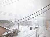 札幌急凍　積雪20公分