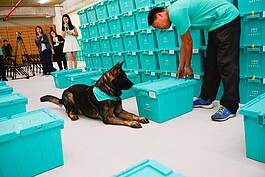 搜查犬出動－
Rozte會停在箱子旁邊，等待隨行人員開箱