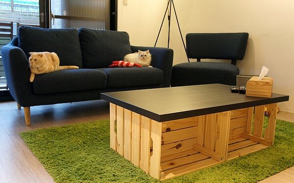 3.玉兔家整體走簡約風，客廳裡像是文化石牆、草坪地毯、木箱客廳桌…等傢具都很有特色。
