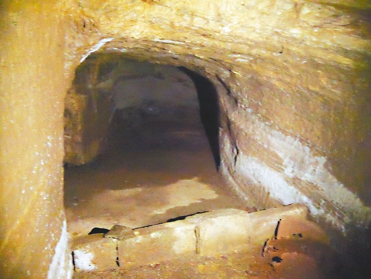 信二路防空洞乾淨、完整,讓人驚豔。 記者吳淑君/攝影