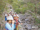 茂林賞蝶步道　汽車止步