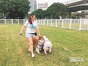 北市首座綠地狗活動區　落腳華山公園