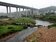 西湖飛龍大橋下游　將打造親水公園