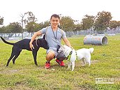 草皮稀疏有石塊　土城寵物公園不友善