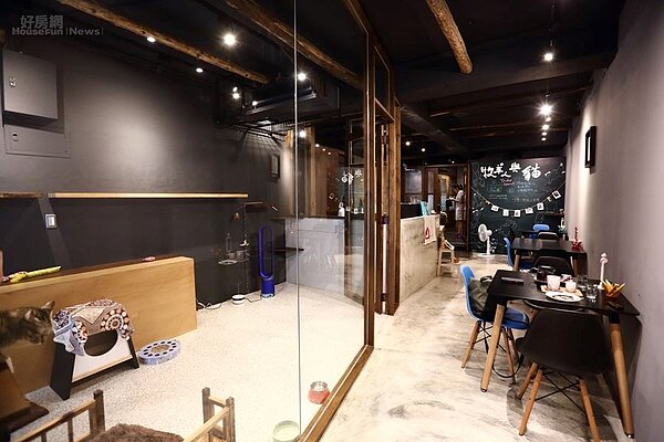 2.貓旅館「牧羊人與貓」也提供蔬食餐點。