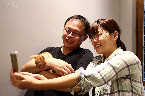 3.來這兒用餐,還可以和店貓打成一片。