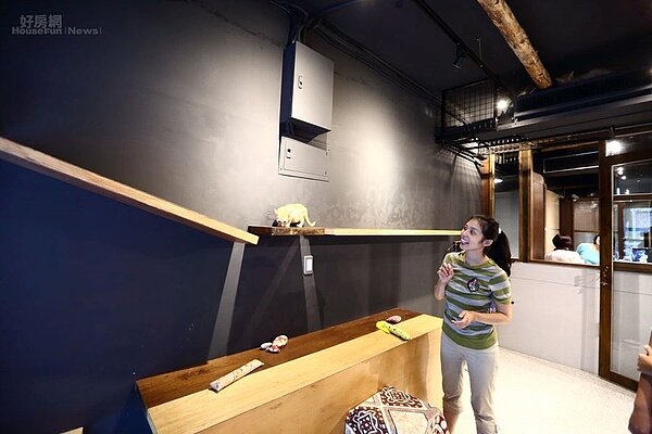 4.遊戲區裡有長條貓跳台,讓喵星人可以活動。