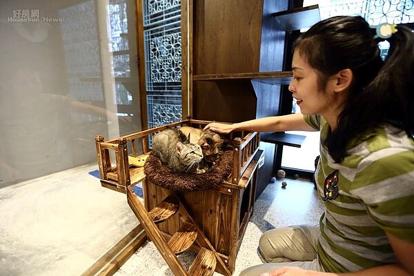 7.Christine認為愛貓就是責任,所以她樂在其中。