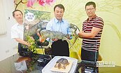 神似「酷斯拉」掀飼養熱　綠鬣蜥棄養潮危害生態