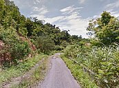 達仁3條鐵馬車道　居民籲行銷