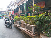 防遊民霸占　公有椅放花不友善