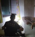 租客失聯「12隻狗沒人顧」！新北首推寵物租屋約款　防毛孩遭棄養