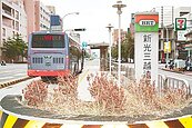 BRT車道左右為難　黃敏惠舌戰議員 