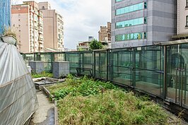 空中的綠花園如今雜草叢生，看來不受關愛的眼光已經有段時間。