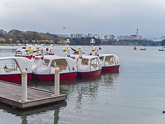 逛了一圈體力還夠，也可以搭乘腳踏船遊湖。